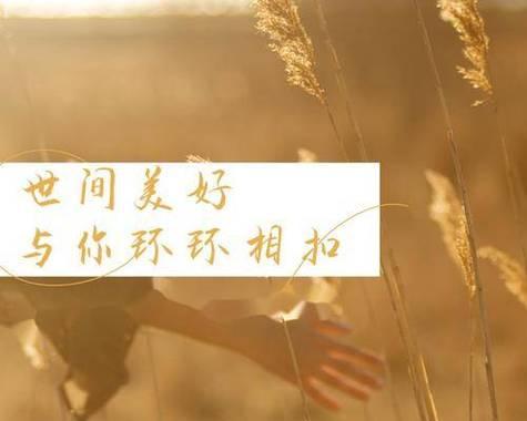 以婚外情能持续多少年？（若即若离是最好的状态）