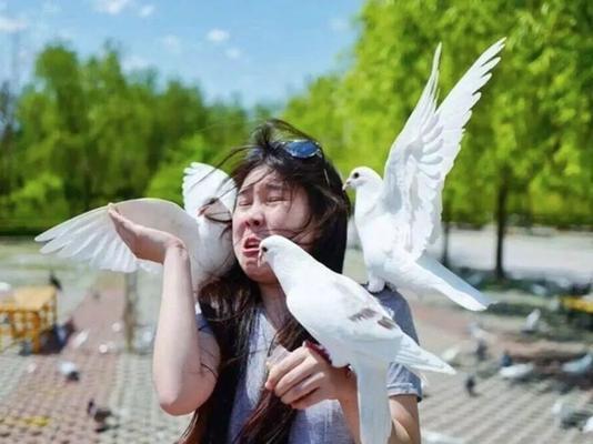 男友提出想自由，该如何应对？（恋爱中遇到挫折，如何修补感情？）