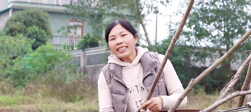 春暖花开，助你脱单（用心撒下爱的种子，等待爱情绽放）