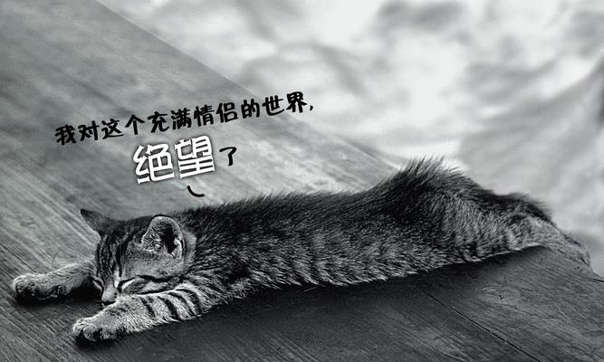 单身节的味道——独立自强，拥抱幸福（你被单身了吗？不要慌，享受一个人的日子吧！）