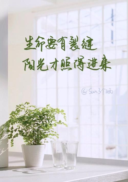 用文字抒发内心的情感（用文字抒发内心的情感）