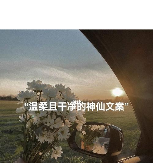 离婚后如何挽回老婆（温柔的方式让你重新拥有她）