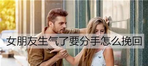 挽回女友大全（恋爱后的必修课，让你成为情感专家）