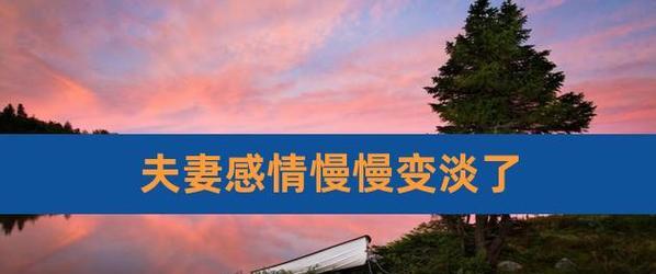 夫妻感情变淡怎么办？（挽救婚姻，重燃爱的火焰）