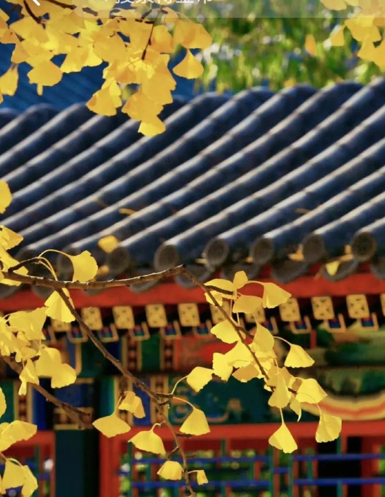 挽回摩羯男的心态：重获爱情的秘诀