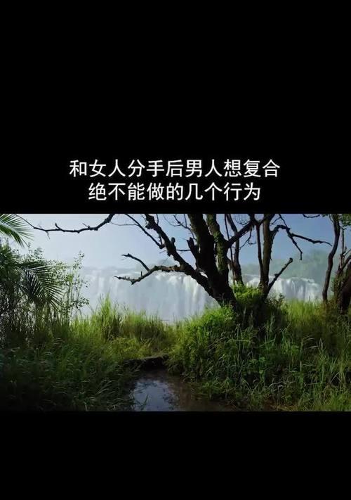如何挽回以面对吵架分手的前任？（重塑感情的方法和技巧，让爱情重新燃起）