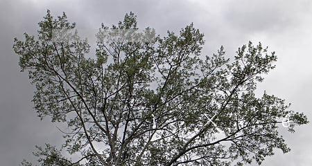 从一时冲动到挽回老公，成功的方法大揭秘！（如何用温柔和理智，重燃爱情的火焰？）