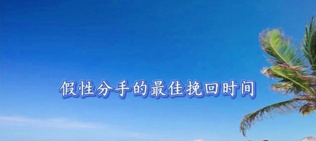 分手不是终点，两种类型挽回方法全解析（从理性型和情感型分手看挽回方法差异）
